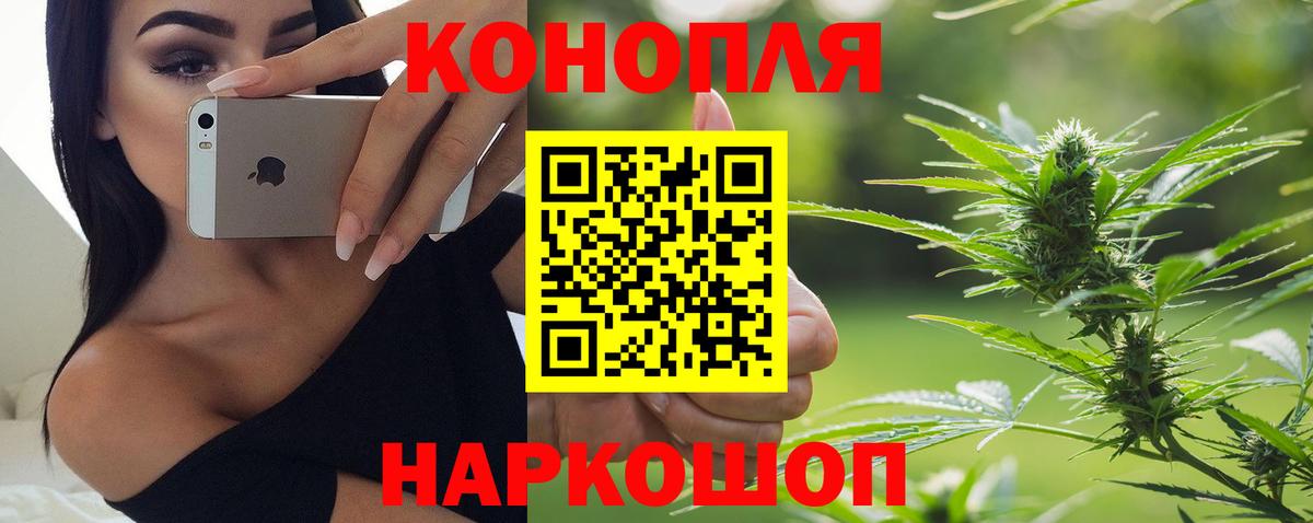 Конопля Ganja Великий Устюг