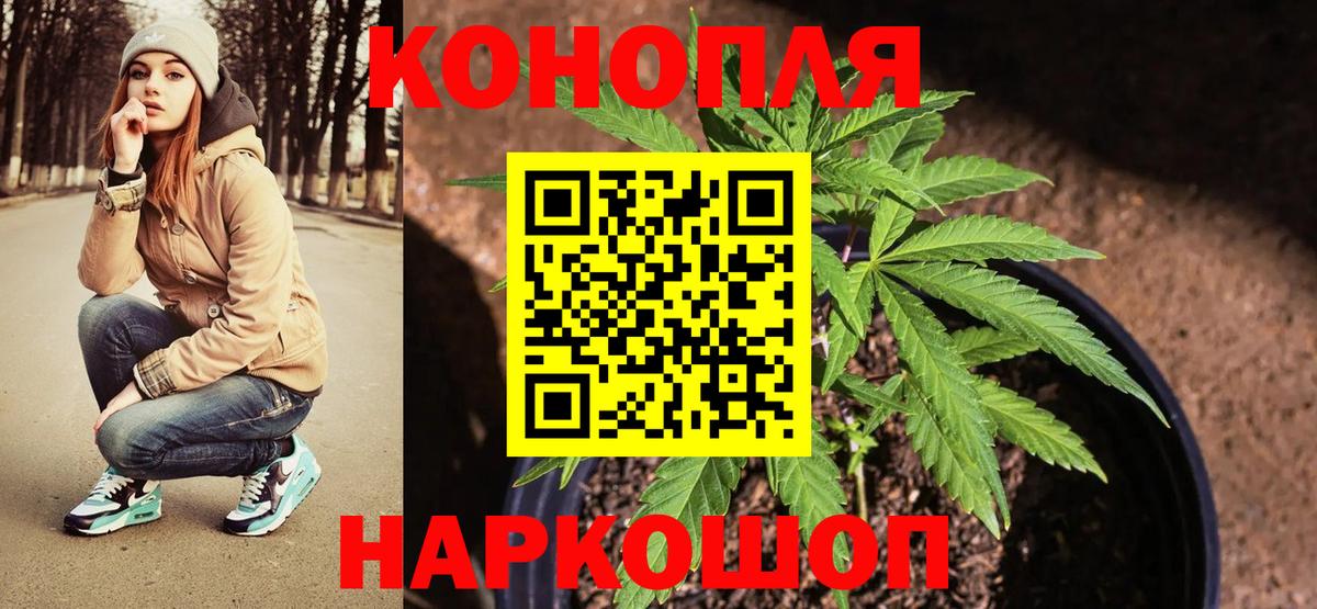 Бошки марихуана семена  Бошки марихуана Bruce Banner  Канабис конопля  Вход с VPN  Великий Устюг 